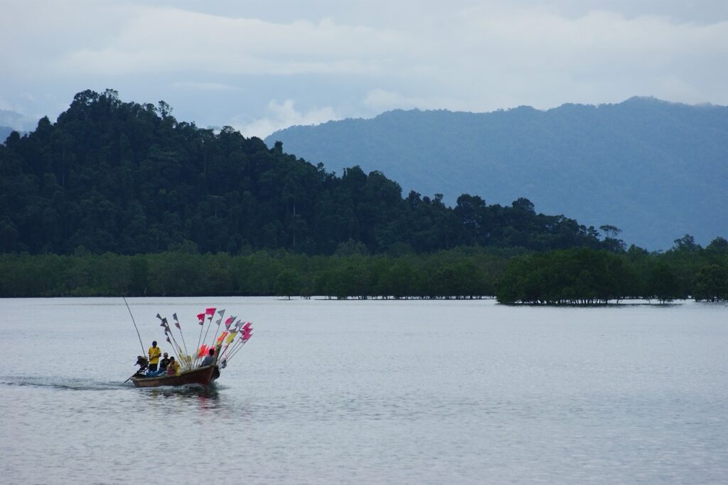 Island Camping